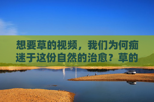 想要草的视频，我们为何痴迷于这份自然的治愈？草的视频，我们痴迷于自然的治愈