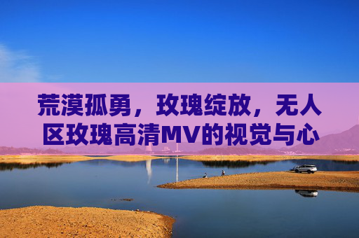 荒漠孤勇，玫瑰绽放，无人区玫瑰高清MV的视觉与心灵盛宴，无人区玫瑰，荒漠孤勇绽放，视觉心灵盛宴