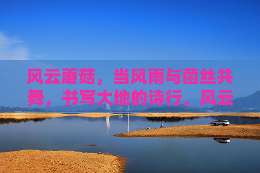 风云蘑菇,当风雨与菌丝共舞,书写大地的诗行,风云蘑菇,风雨菌丝共舞,书大地诗行 风云蘑菇,当风雨与菌丝共舞,书写大地的诗行,风云蘑菇,风雨菌丝共舞,书大地诗行