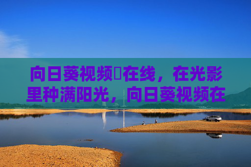 向日葵视频卍在线，在光影里种满阳光，向日葵视频在线，光影种满阳光