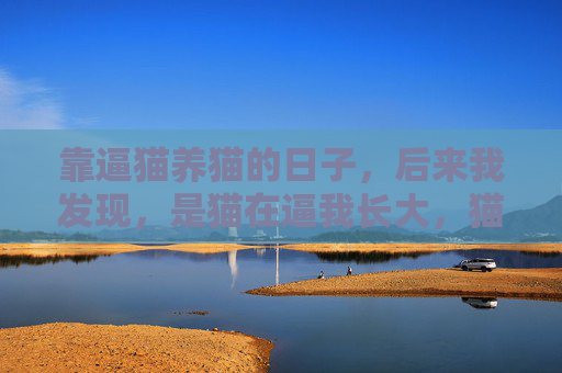靠逼猫养猫的日子,后来我发现,是猫在逼我长大,猫在逼我长大,逼猫养猫的蜕变 靠逼猫养猫的日子,后来我发现,是猫在逼我长大,猫在逼我长大,逼猫养猫的蜕变