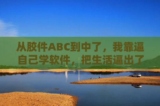 从胶件ABC到中了,我靠逼自己学软件,把生活逼出了新可能,从胶件ABC到中了,逼学软件,逼出生活新可能 从胶件ABC到中了,我靠逼自己学软件,把生活逼出了新可能,从胶件ABC到中了,逼学软件,逼出生活新可能
