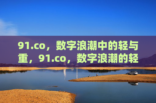 91.co，数字浪潮中的轻与重，91.co，数字浪潮的轻与重
