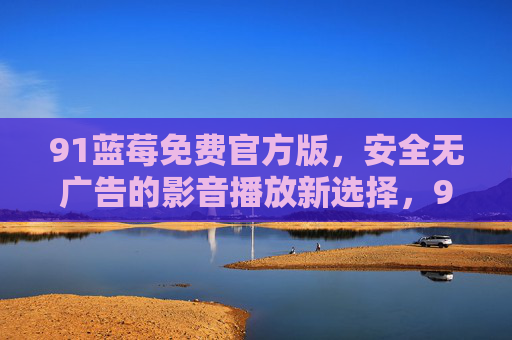 91蓝莓免费官方版，安全无广告的影音播放新选择，91蓝莓免费官方版，安全无广告的影音播放新选择
