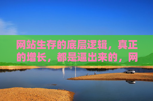 网站生存的底层逻辑,真正的增长,都是逼出来的,网站生存的底层逻辑,真正的增长都是逼出来的 网站生存的底层逻辑,真正的增长,都是逼出来的,网站生存的底层逻辑,真正的增长都是逼出来的