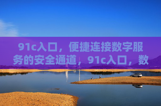 91c入口，便捷连接数字服务的安全通道，91c入口，数字服务的便捷安全通道