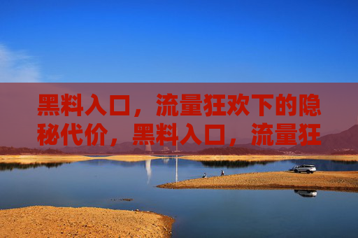 黑料入口，流量狂欢下的隐秘代价，黑料入口，流量狂欢的隐秘代价