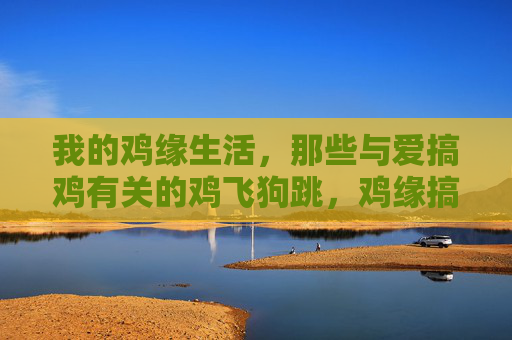 我的鸡缘生活，那些与爱搞鸡有关的鸡飞狗跳，鸡缘搞鸡记，鸡飞狗跳的日子