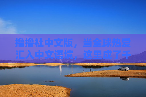 撸撸社中文版，当全球热爱汇入中文语境，这里成了千万同好的精神原乡，撸撸社中文版，全球热爱汇入中文的精神原乡
