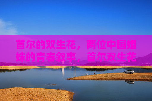 首尔的双生花，两位中国姐妹的青春叙事，首尔双生花，中国姐妹的青春叙事