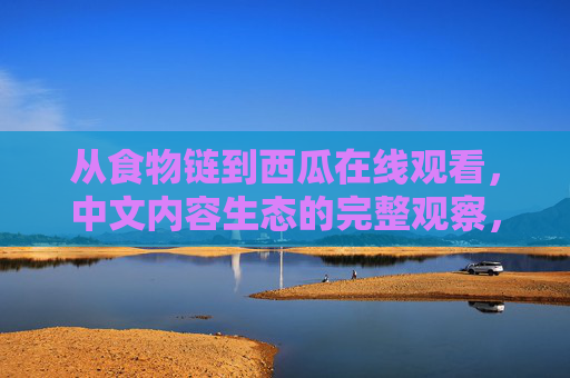 从食物链到西瓜在线观看，中文内容生态的完整观察，从食物链到西瓜在线观看，中文内容生态的完整观察