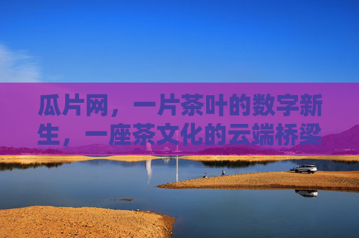 瓜片网，一片茶叶的数字新生，一座茶文化的云端桥梁，瓜片网，茶叶数字新生与茶文化云端桥梁