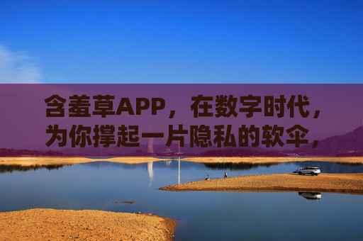 含羞草APP,在数字时代,为你撑起一片隐私的软伞,含羞草APP,数字时代的隐私软伞 含羞草APP,在数字时代,为你撑起一片隐私的软伞,含羞草APP,数字时代的隐私软伞