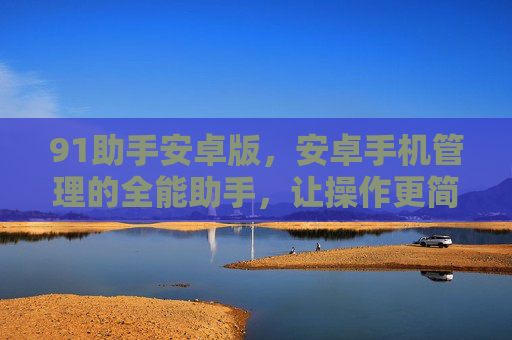 91助手安卓版,安卓手机管理的全能助手,让操作更简单高效 91助手安卓版,安卓手机管理的全能助手,让操作更简单高效
