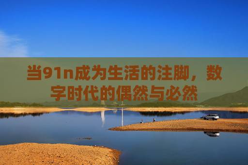 当91n成为生活的注脚,数字时代的偶然与必然 当91n成为生活的注脚,数字时代的偶然与必然