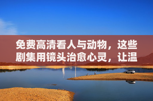 免费高清看人与动物，这些剧集用镜头治愈心灵，让温暖触手可及，人与动物治愈剧集，免费高清，温暖触手可及