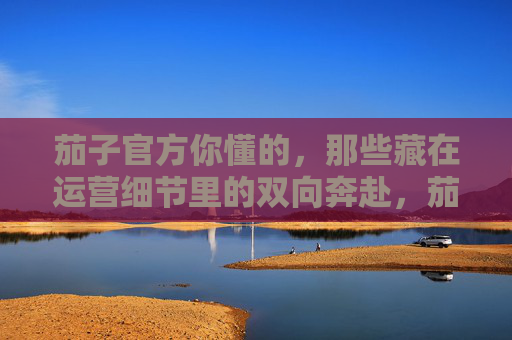 茄子官方你懂的,那些藏在运营细节里的双向奔赴,茄子官方,运营细节里的双向奔赴 茄子官方你懂的,那些藏在运营细节里的双向奔赴,茄子官方,运营细节里的双向奔赴