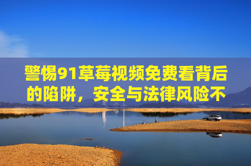 警惕91草莓视频免费看背后的陷阱,安全与法律风险不容忽视,91草莓视频免费看背后的安全与法律陷阱 警惕91草莓视频免费看背后的陷阱,安全与法律风险不容忽视,91草莓视频免费看背后的安全与法律陷阱