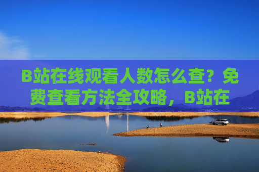 B站在线观看人数怎么查?免费查看方法全攻略,B站在线观看人数查询,免费查看方法全攻略 B站在线观看人数怎么查?免费查看方法全攻略,B站在线观看人数查询,免费查看方法全攻略