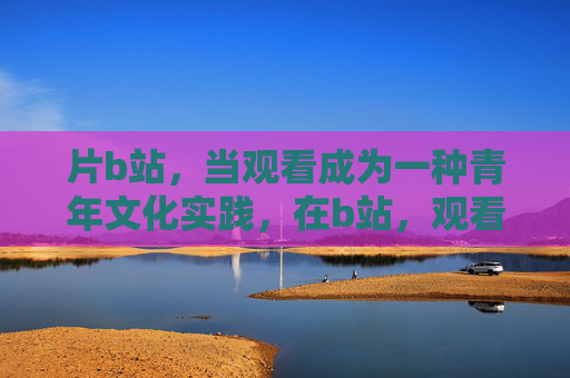片b站,当观看成为一种青年文化实践,在b站,观看成为青年文化实践 片b站,当观看成为一种青年文化实践,在b站,观看成为青年文化实践