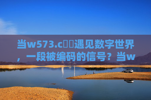 当w573.c鈥哻遇见数字世界，一段被编码的信号？当w573.c鈥哻遇见数字世界，被编码的信号