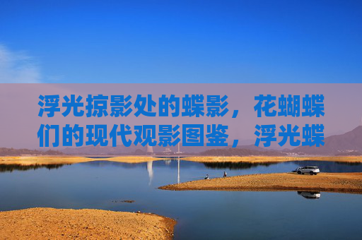 浮光掠影处的蝶影,花蝴蝶们的现代观影图鉴,浮光蝶影,花蝴蝶的现代观影图鉴 浮光掠影处的蝶影,花蝴蝶们的现代观影图鉴,浮光蝶影,花蝴蝶的现代观影图鉴