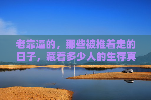 老靠逼的,那些被推着走的日子,藏着多少人的生存真相? 老靠逼的,那些被推着走的日子,藏着多少人的生存真相?