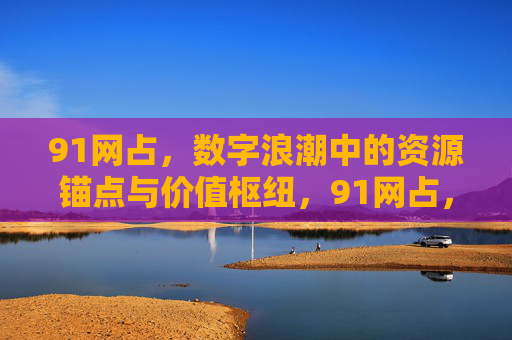 91网占，数字浪潮中的资源锚点与价值枢纽，91网占，数字浪潮中的资源锚点与价值枢纽