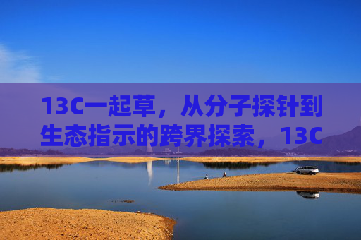 13C一起草,从分子探针到生态指示的跨界探索,13C一起草,从分子探针到生态指示的跨界探索 13C一起草,从分子探针到生态指示的跨界探索,13C一起草,从分子探针到生态指示的跨界探索