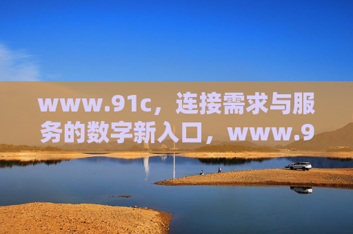 www.91c，连接需求与服务的数字新入口，www.91c，连接需求与服务的数字新入口