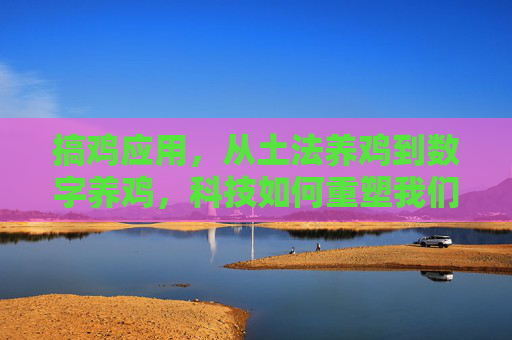 搞鸡应用,从土法养鸡到数字养鸡,科技如何重塑我们的鸡缘生活?科技重塑鸡缘,从土法到数字的养鸡变革 搞鸡应用,从土法养鸡到数字养鸡,科技如何重塑我们的鸡缘生活?科技重塑鸡缘,从土法到数字的养鸡变革