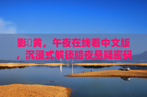 影晥黄，午夜在线看中文版，沉浸式解锁暗夜悬疑密码，影晥黄，午夜沉浸式解锁暗夜悬疑密码