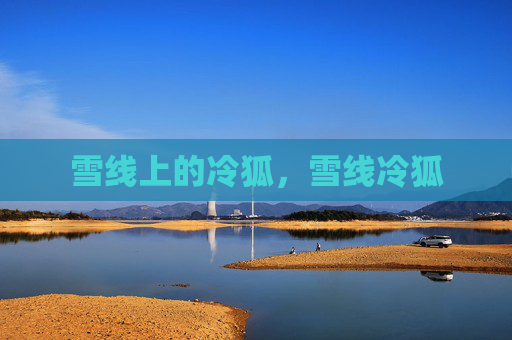雪线上的冷狐,雪线冷狐 雪线上的冷狐,雪线冷狐