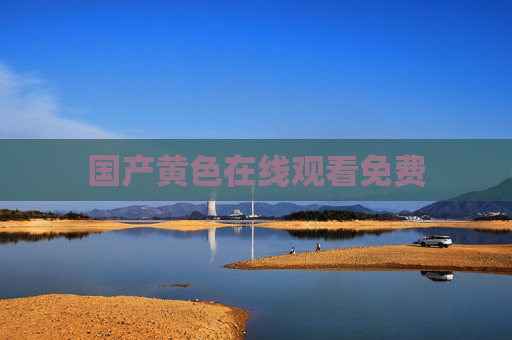 国产黄色在线观看免费