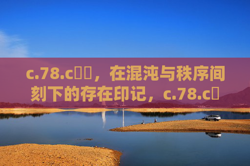 c.78.c鈥哻，在混沌与秩序间刻下的存在印记，c.78.c鈥哻，混沌与秩序间的存在印记