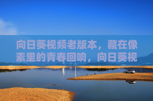向日葵视频老版本,藏在像素里的青春回响,向日葵视频老版本,藏在像素里的青春回响 向日葵视频老版本,藏在像素里的青春回响,向日葵视频老版本,藏在像素里的青春回响