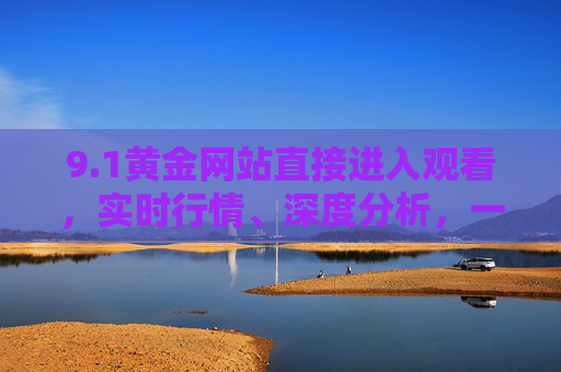 9.1黄金网站直接进入观看，实时行情、深度分析，一站式掌握黄金投资动态，1黄金网站，实时行情深度分析，一站式掌握黄金投资动态