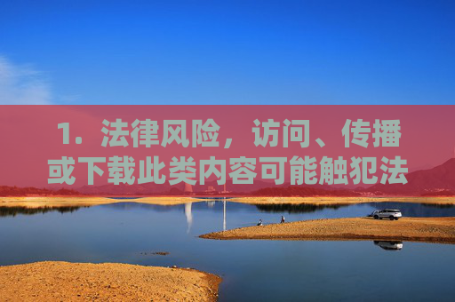 1.  法律风险，访问、传播或下载此类内容可能触犯法律，面临行政处罚甚至刑事责任，访问传播下载此类内容面临法律风险