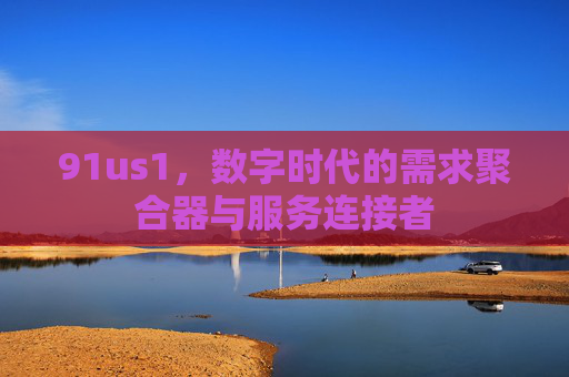 91us1,数字时代的需求聚合器与服务连接者 91us1,数字时代的需求聚合器与服务连接者