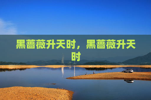 黑蔷薇升天时,黑蔷薇升天时 黑蔷薇升天时,黑蔷薇升天时