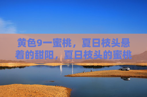 黄色9一蜜桃,夏日枝头悬着的甜阳,夏日枝头的蜜桃甜阳 黄色9一蜜桃,夏日枝头悬着的甜阳,夏日枝头的蜜桃甜阳