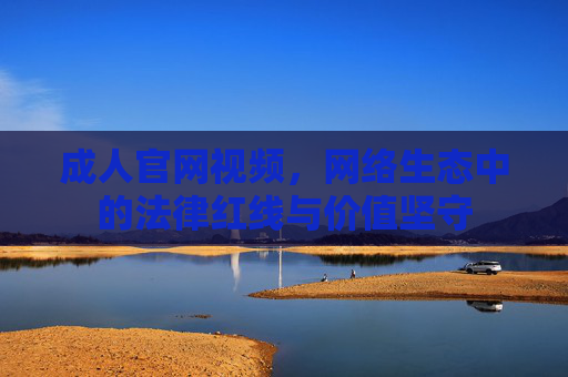 成人官网视频，网络生态中的法律红线与价值坚守