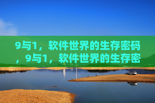 9与1，软件世界的生存密码，9与1，软件世界的生存密码