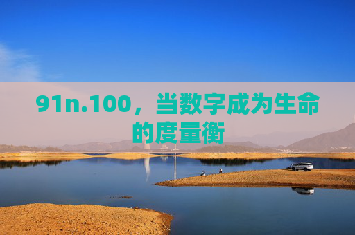 91n.100,当数字成为生命的度量衡 91n.100,当数字成为生命的度量衡