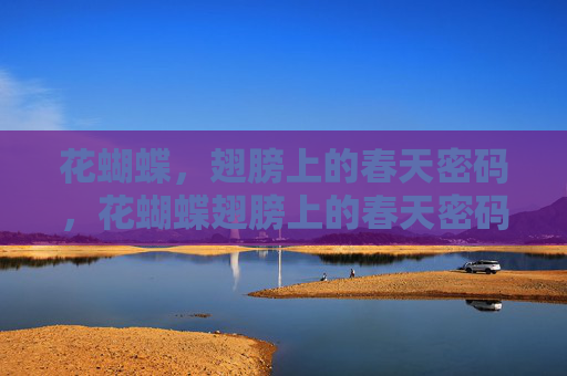 花蝴蝶,翅膀上的春天密码,花蝴蝶翅膀上的春天密码 花蝴蝶,翅膀上的春天密码,花蝴蝶翅膀上的春天密码