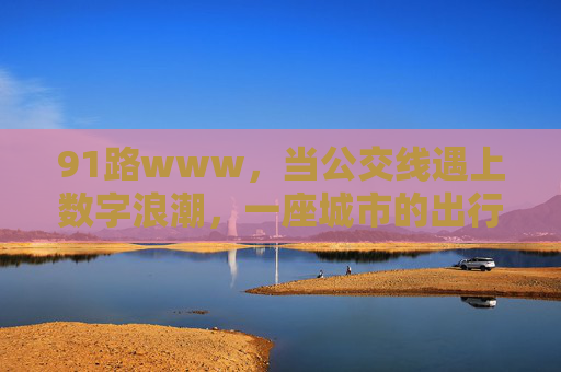 91路www，当公交线遇上数字浪潮，一座城市的出行新图景，91路，数字浪潮下的城市出行新图景