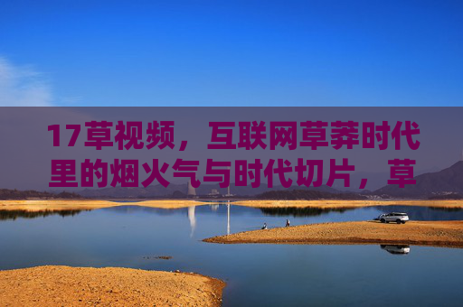 17草视频，互联网草莽时代里的烟火气与时代切片，草莽时代的烟火切片，17草视频里的互联网记忆