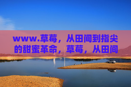 www.草莓,从田间到指尖的甜蜜革命,草莓,从田间到指尖的甜蜜革命 www.草莓,从田间到指尖的甜蜜革命,草莓,从田间到指尖的甜蜜革命