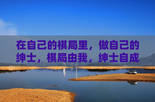 在自己的棋局里，做自己的绅士，棋局由我，绅士自成