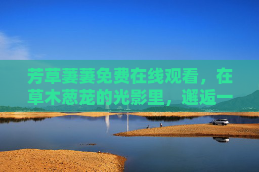 芳草萋萋免费在线观看，在草木葱茏的光影里，邂逅一场免费的治愈之旅，芳草萋萋免费在线，草木光影里的治愈之旅